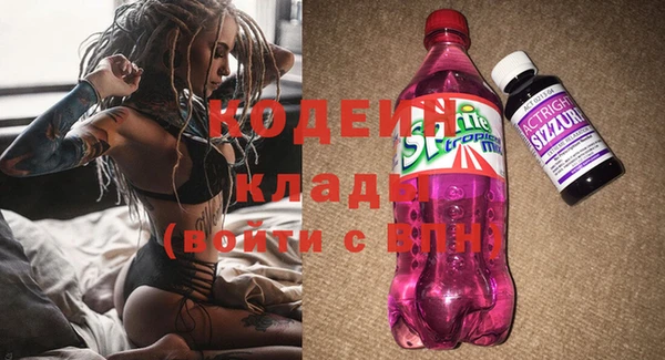 молекула духа Елизово