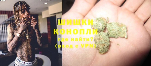 молекула духа Елизово