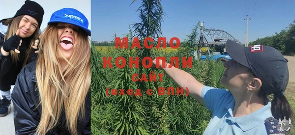 молекула духа Елизово