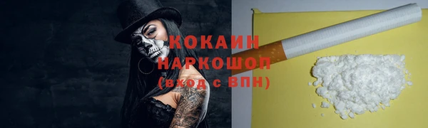 молекула духа Елизово
