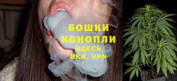 молекула духа Елизово