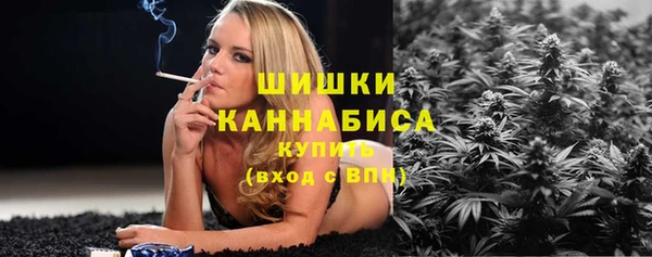 молекула духа Елизово