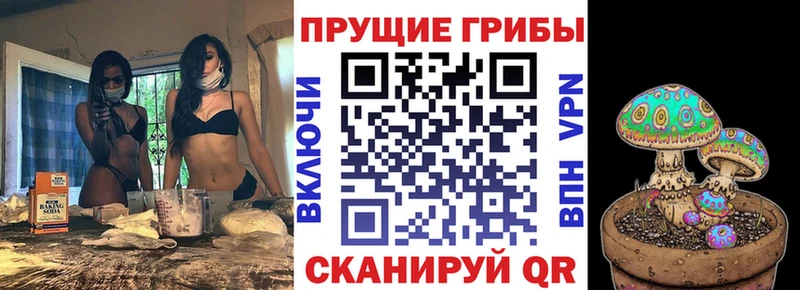 Галлюциногенные грибы мицелий  Купить закладки  Черняховск 